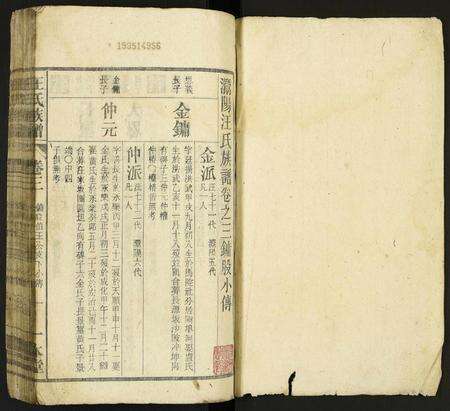 安徽汪氏族谱-汪氏族谱.pdf电子版预览图1