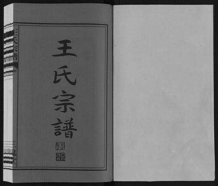 安徽王氏族谱-王氏宗谱.pdf电子版预览图1