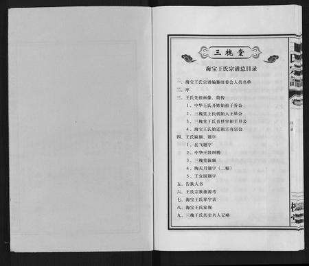 安徽王氏族谱-王氏宗谱.pdf电子版预览图1