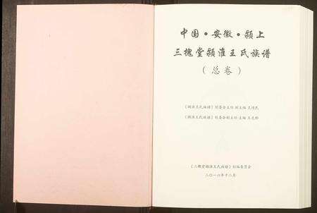 安徽王氏族谱-颖淮王氏族谱.pdf电子版预览图1