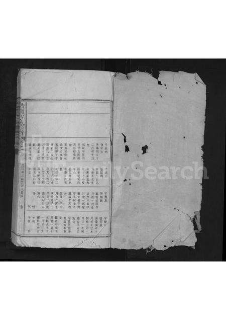 安徽程氏族谱-若岭程氏宗谱 [残卷].pdf电子版预览图1