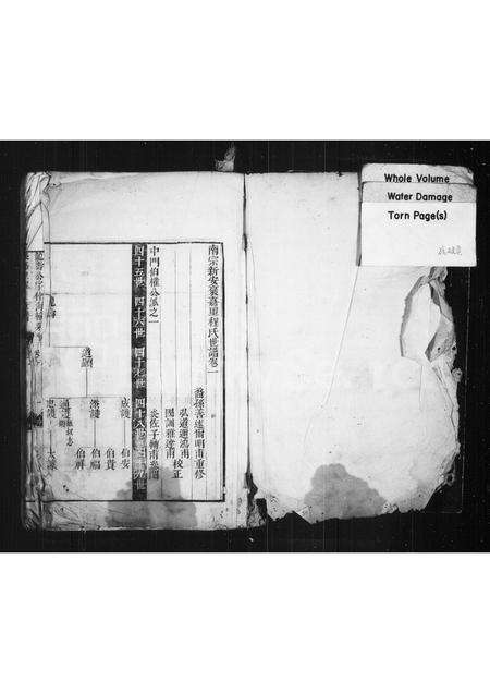 安徽程氏族谱-南宗新安褒嘉里程氏世谱.pdf电子版预览图1