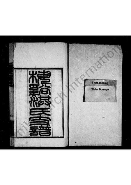 安徽洪氏族谱-梅溪洪氏支谱.pdf电子版预览图1