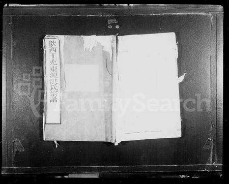 安徽洪氏族谱-王充东源洪氏宗谱 [10卷].pdf电子版预览图1