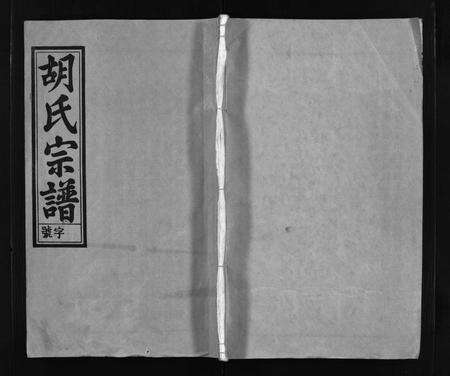 安徽胡氏族谱-胡氏宗谱[8卷首1卷].pdf电子版预览图1