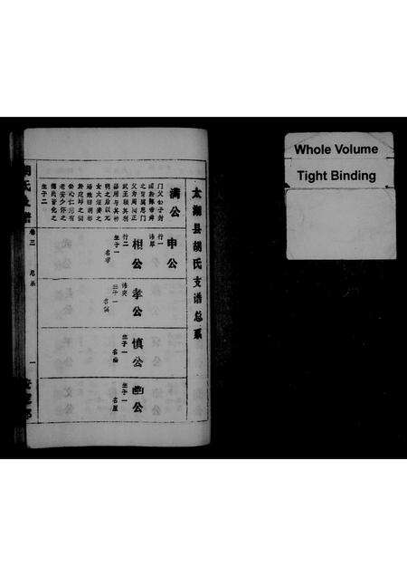 安徽胡氏族谱-胡氏支谱 [芳支3卷,命支14卷].pdf电子版预览图1