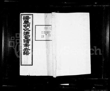 安徽胡氏族谱-清华胡氏仁德堂世谱 [27卷, 首末各1卷].pdf电子版预览图1