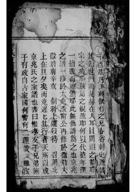 安徽金氏族谱-京兆金氏支谱.pdf电子版预览图1