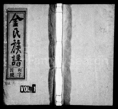 安徽金氏族谱-金氏族谱 [20卷,首1卷].pdf电子版预览图1