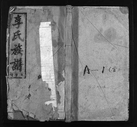 安徽李氏族谱-李氏族谱 [22卷,首1卷,末2卷].pdf电子版预览图1