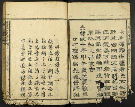 福建赖氏族谱-松阳双峯赖氏族谱.pdf电子版预览图1