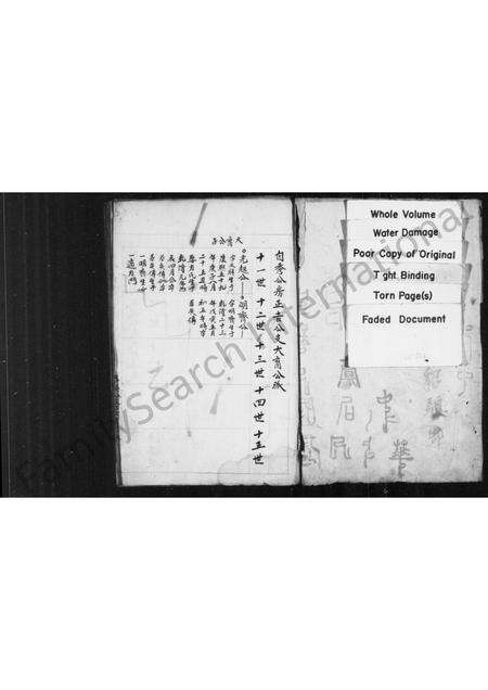 安徽彭杨氏彭氏杨氏族谱-彭杨氏宗谱.pdf电子版预览图1