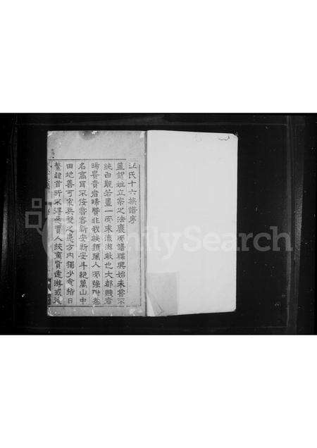 安徽汪氏族谱-灵山院汪氏十六族谱 [10卷].pdf电子版预览图1