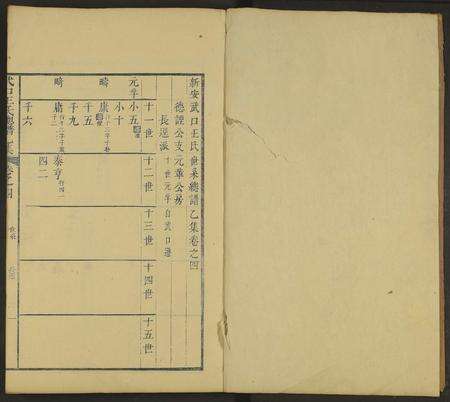 安徽王氏族谱-新安武口王氏统谱 [共264卷计40册].pdf电子版预览图1