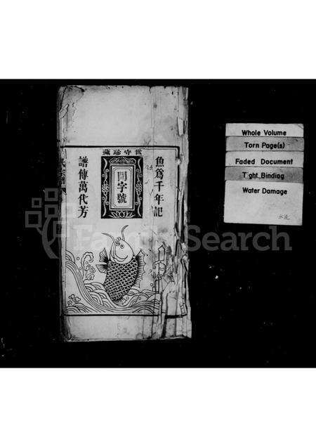 安徽王氏族谱-檀岭王氏宗谱 [18卷].pdf电子版预览图1