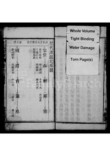 安徽王氏族谱-王氏宗谱 [12卷].pdf电子版预览图1