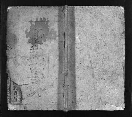 安徽王氏族谱-王氏族谱 [44卷,首1,卷末上下].pdf电子版预览图1