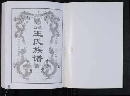 安徽王氏族谱-龙口王氏族谱 [2卷,首1卷].pdf电子版预览图1