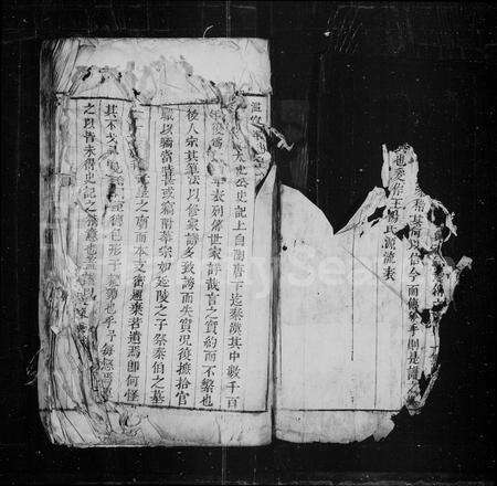 安徽王杨氏杨氏族谱-[王杨氏宗谱].pdf电子版预览图1