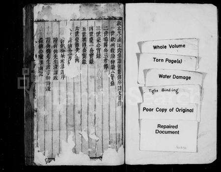 安徽未知族谱-歙北岑阳江氏宗谱.pdf电子版预览图1