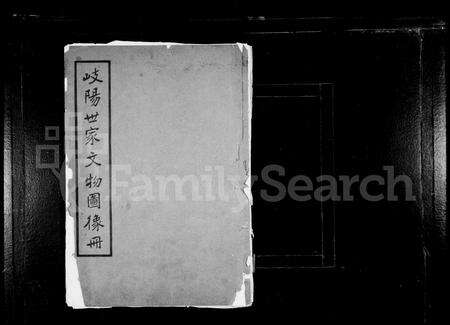 安徽未知族谱-岐阳(李氏)世家文物图像册.pdf电子版预览图1