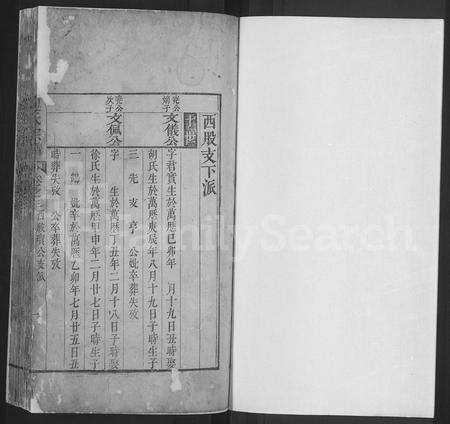 安徽魏氏族谱-魏氏宗谱 [残卷].pdf电子版预览图1