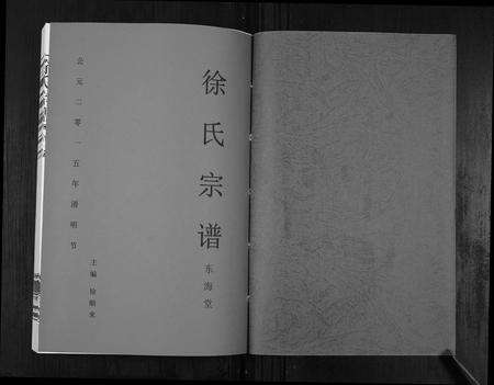 安徽徐氏族谱-徐氏宗谱.pdf电子版预览图1