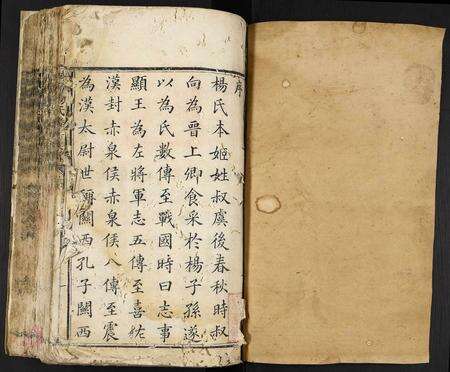 江西杨氏族谱-城南杨氏麟房族谱.pdf电子版预览图1