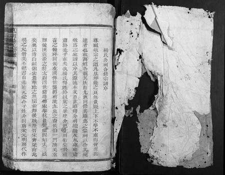 江西杨氏族谱-莲湖杨氏宗谱.pdf电子版预览图1