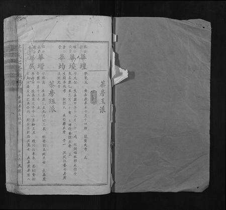 江西叶氏族谱-叶氏七修族谱.pdf电子版预览图1