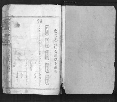 江西应氏族谱-汝南应氏八修族谱.pdf电子版预览图1