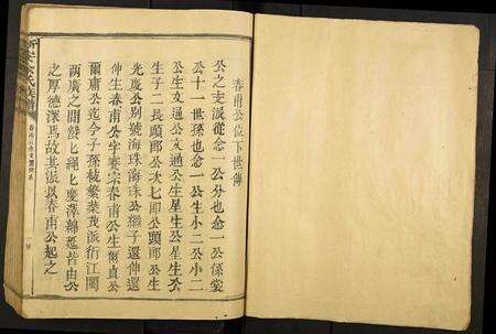 江西余氏族谱-新安余氏族谱.pdf电子版预览图1