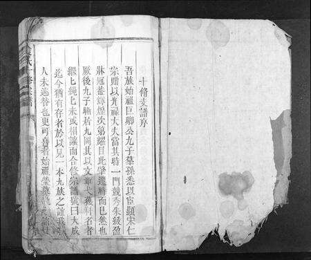 江西袁氏族谱-袁氏十修族谱[不分卷].pdf电子版预览图1