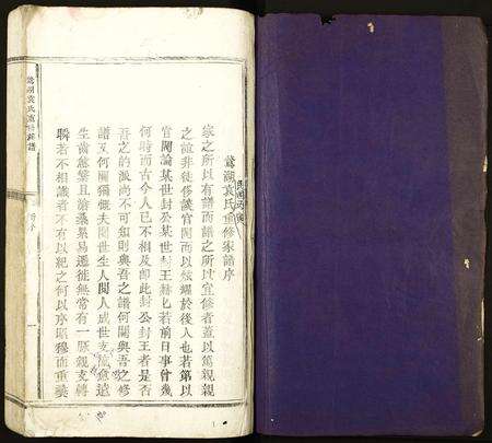 江西袁氏族谱-鹜湖袁氏重修宗谱.pdf电子版预览图1