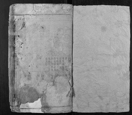 安徽张氏族谱-张氏宗谱.pdf电子版预览图1