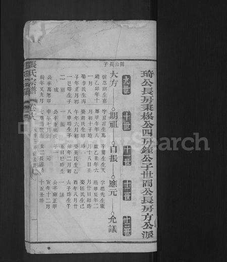 安徽张氏族谱-张氏宗谱 [残卷].pdf电子版预览图1