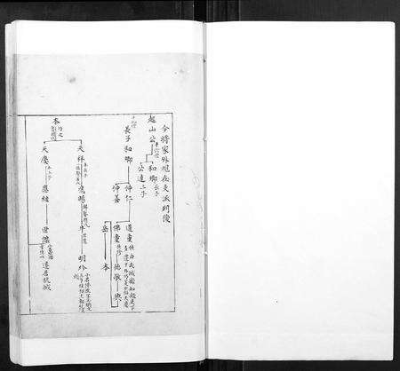 安徽张氏族谱-张氏宗谱[不分卷].pdf电子版预览图1