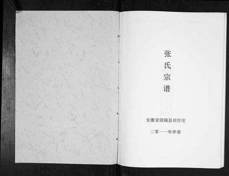 安徽张氏族谱-张氏宗谱[不分卷].pdf电子版预览图1