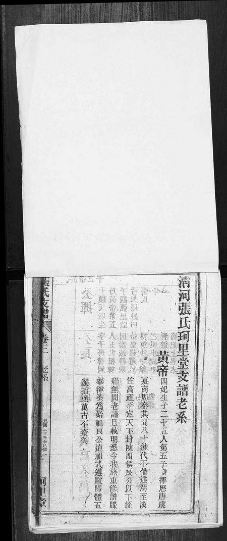 安徽张氏族谱-张氏支谱.pdf电子版预览图1