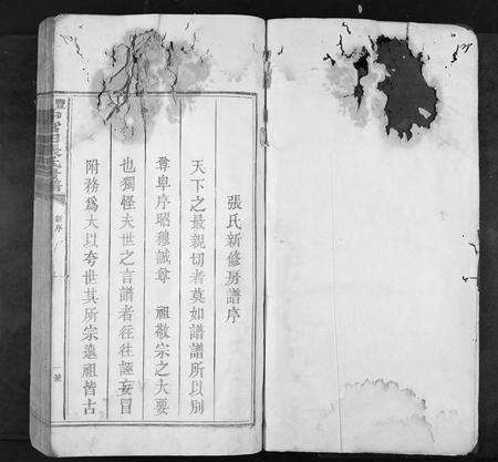 江西张氏族谱-丰邑中官田张氏房谱[不分卷].pdf电子版预览图1