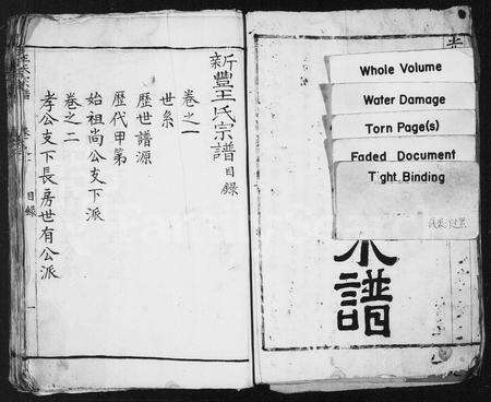 安徽王氏族谱-王氏宗谱 [4卷].pdf电子版预览图1