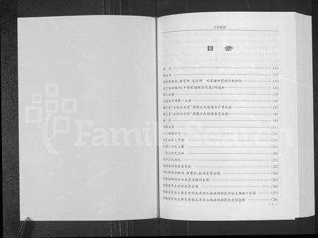 安徽王氏族谱-王氏族谱.pdf电子版预览图1