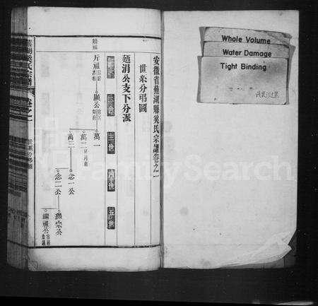 安徽奚氏族谱-安徽省芜湖县奚氏宗谱.pdf电子版预览图1