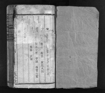 江西徐氏族谱-徐氏宗谱 [残卷].pdf电子版预览图1