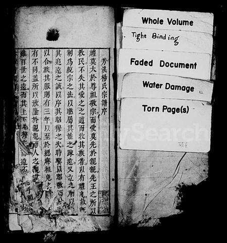 安徽杨氏族谱-新安芳溪杨氏宗支录(休宁芳溪杨氏宗支录).pdf电子版预览图1