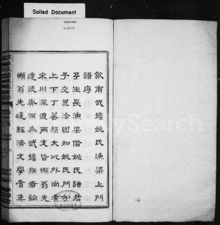 安徽姚氏族谱-武担姚氏上门支谱 [3卷,首末各1卷](歙南武担姚氏支谱).pdf电子版预览图1