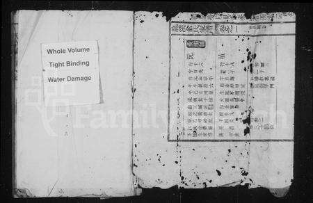 安徽俞氏族谱-俞氏草稿(龙溪俞氏家谱).pdf电子版预览图1