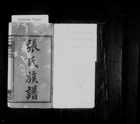 江西张氏族谱-萍西张氏族谱 [5卷,首2卷].pdf电子版预览图1