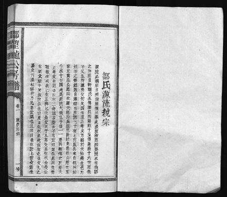 江西邹氏族谱-邹氏九修宗谱 [残卷](邹望龙公房谱).pdf电子版预览图1