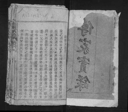 安徽王氏族谱-王氏族谱 [15卷,首2卷].pdf电子版预览图1